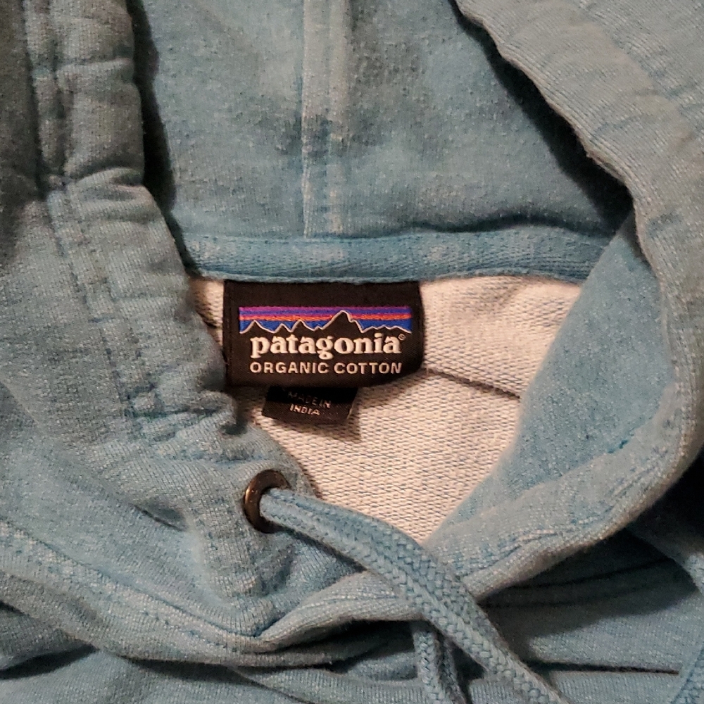 Patagonia Light Blue Hoodie with Bear Graphic - Picture 2 of 10